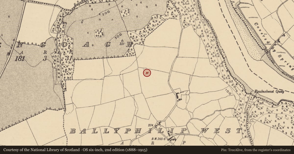 Ordnance Survey six-inch map, 2nd edition (1888–1915) covering the location of Enclosure, Ballyphilip West, County Waterford, with a pin at the register's coordinates