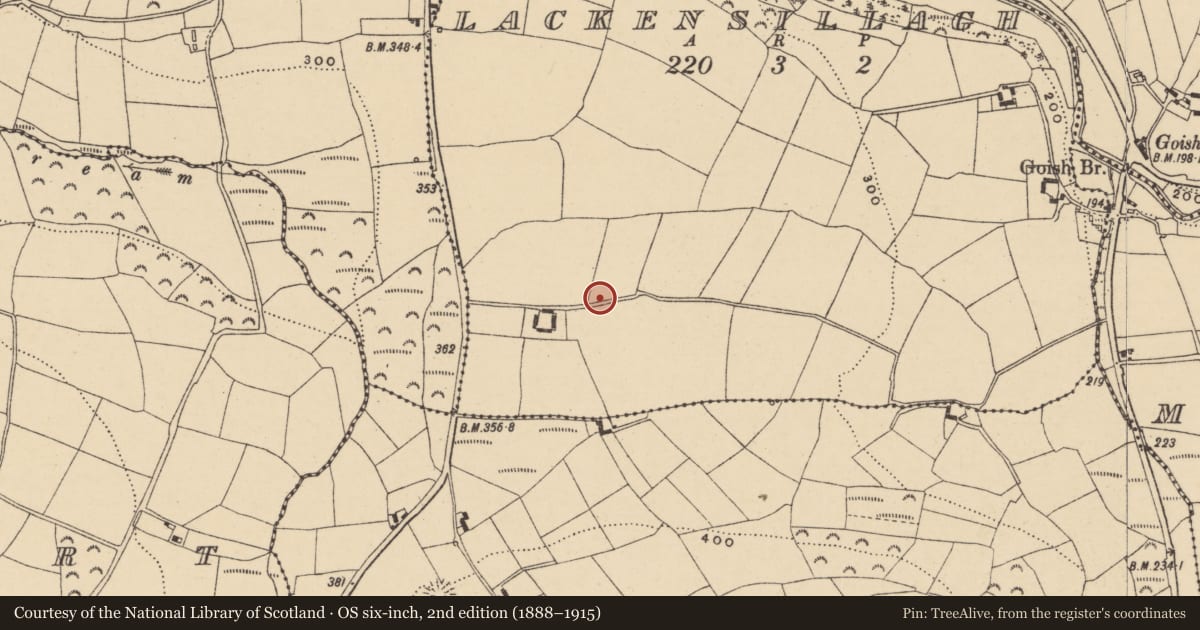 Ordnance Survey six-inch map, 2nd edition (1888–1915) covering the location of Enclosure, Lackensillagh, County Waterford, with a pin at the register's coordinates