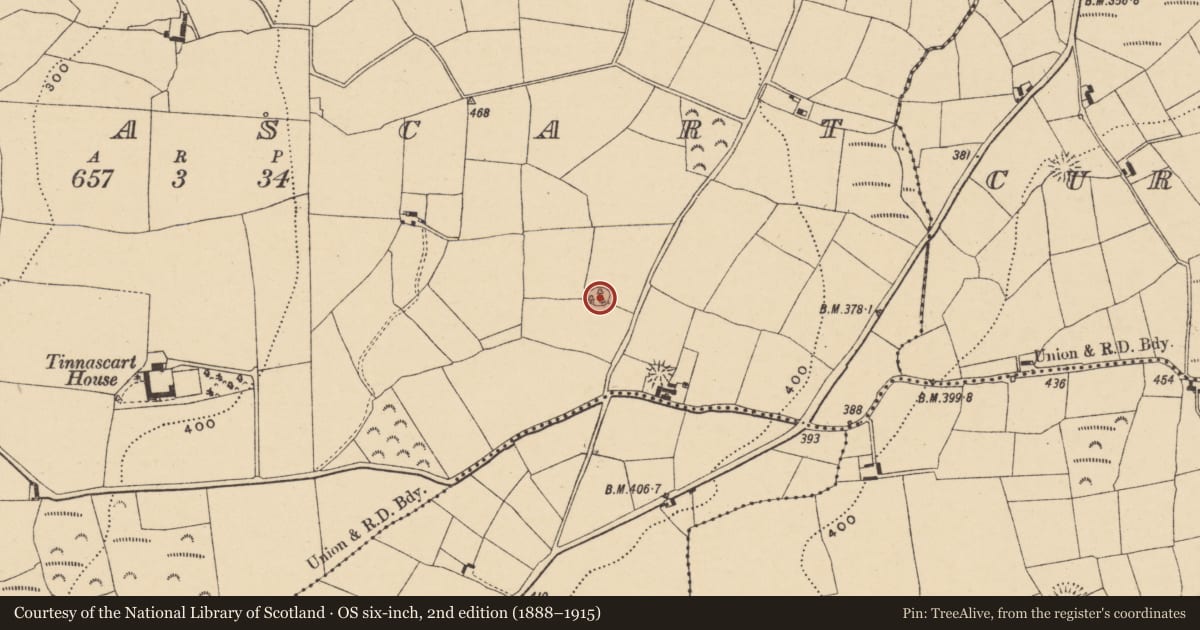 Ordnance Survey six-inch map, 2nd edition (1888–1915) covering the location of Ringfort - rath, Tinnascart, County Waterford, with a pin at the register's coordinates