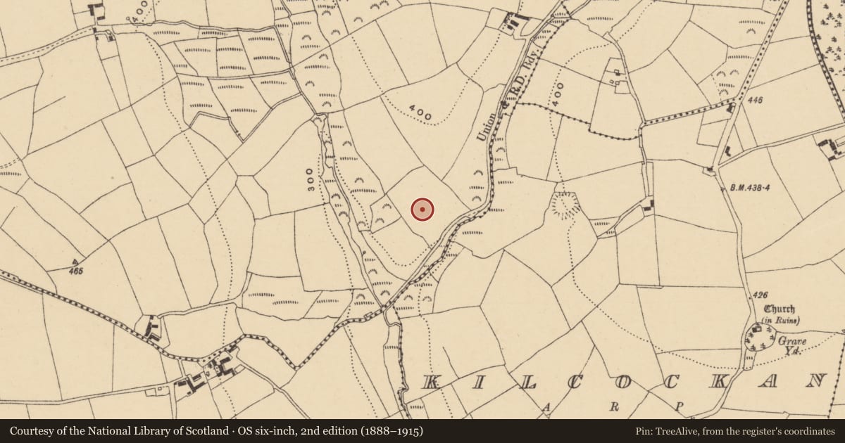 Ordnance Survey six-inch map, 2nd edition (1888–1915) covering the location of Ringfort - unclassified, Coolbeggan East, County Waterford, with a pin at the register's coordinates