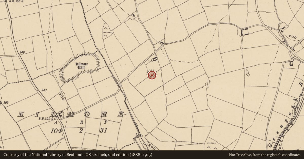Ordnance Survey six-inch map, 2nd edition (1888–1915) covering the location of Ringfort - rath, Knockanearis, County Waterford, with a pin at the register's coordinates
