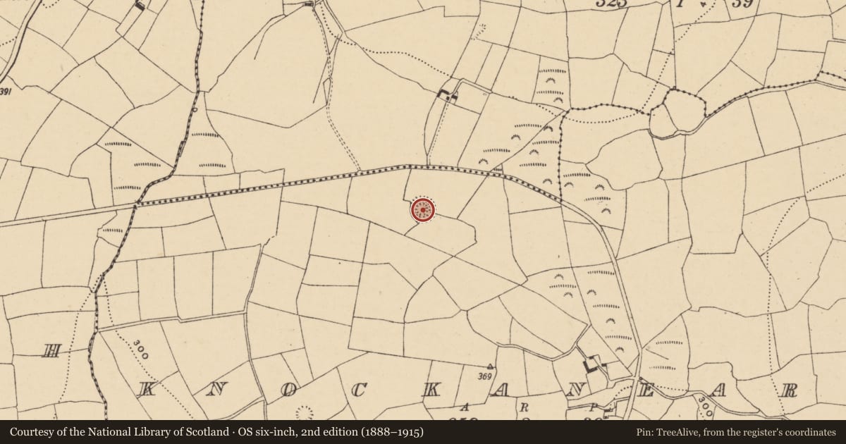 Ordnance Survey six-inch map, 2nd edition (1888–1915) covering the location of Ringfort - rath, Knockanearis, County Waterford, with a pin at the register's coordinates