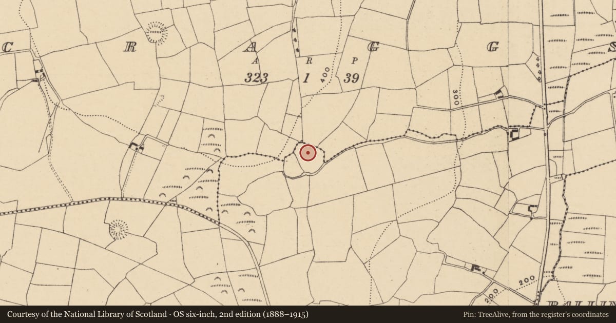 Ordnance Survey six-inch map, 2nd edition (1888–1915) covering the location of Ecclesiastical enclosure, Craggs, Knockanearis, County Waterford, with a pin at the register's coordinates