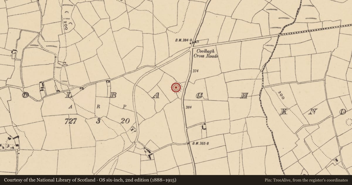 Ordnance Survey six-inch map, 2nd edition (1888–1915) covering the location of Ringfort - rath, Coolbagh, County Waterford, with a pin at the register's coordinates