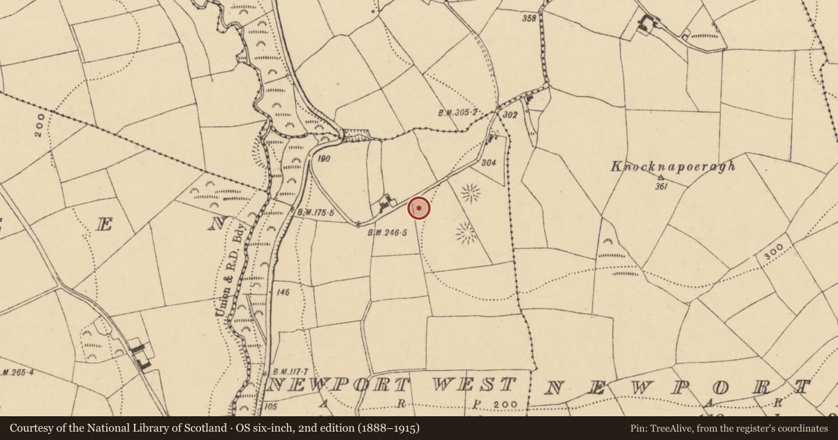 Ordnance Survey six-inch map, 2nd edition (1888–1915) covering the location of Earthwork, Newport West, County Waterford, with a pin at the register's coordinates