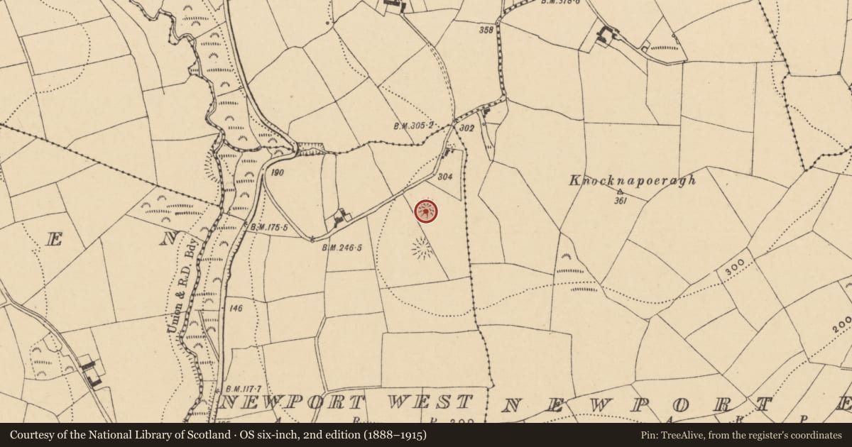 Ordnance Survey six-inch map, 2nd edition (1888–1915) covering the location of Ringfort - rath, Newport West, County Waterford, with a pin at the register's coordinates