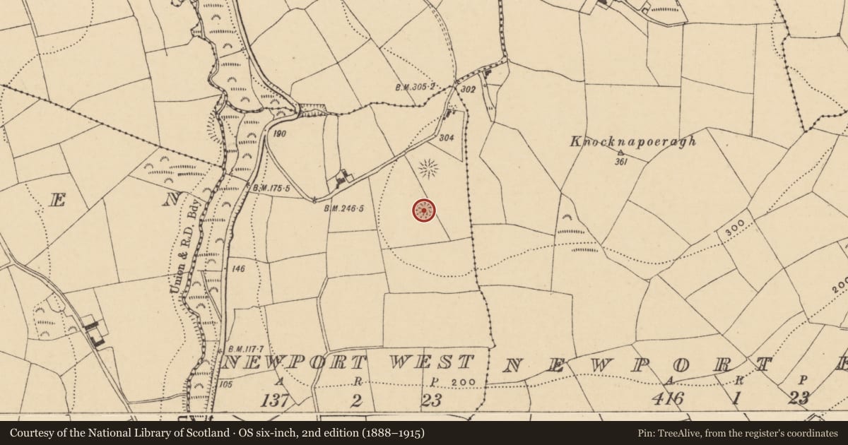 Ordnance Survey six-inch map, 2nd edition (1888–1915) covering the location of Ringfort - rath, Newport West, County Waterford, with a pin at the register's coordinates