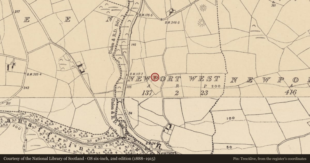 Ordnance Survey six-inch map, 2nd edition (1888–1915) covering the location of Enclosure, Newport West, County Waterford, with a pin at the register's coordinates