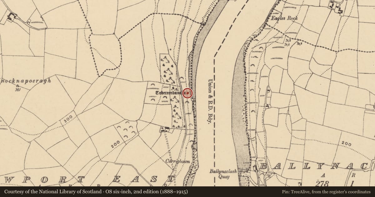 Ordnance Survey six-inch map, 2nd edition (1888–1915) covering the location of Ritual site - holy well, Newport East, County Waterford, with a pin at the register's coordinates
