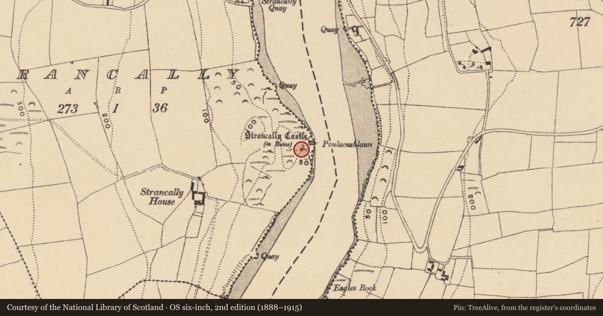 Ordnance Survey six-inch map, 2nd edition (1888–1915) covering the location of Castle - tower house, Strancally, County Waterford, with a pin at the register's coordinates