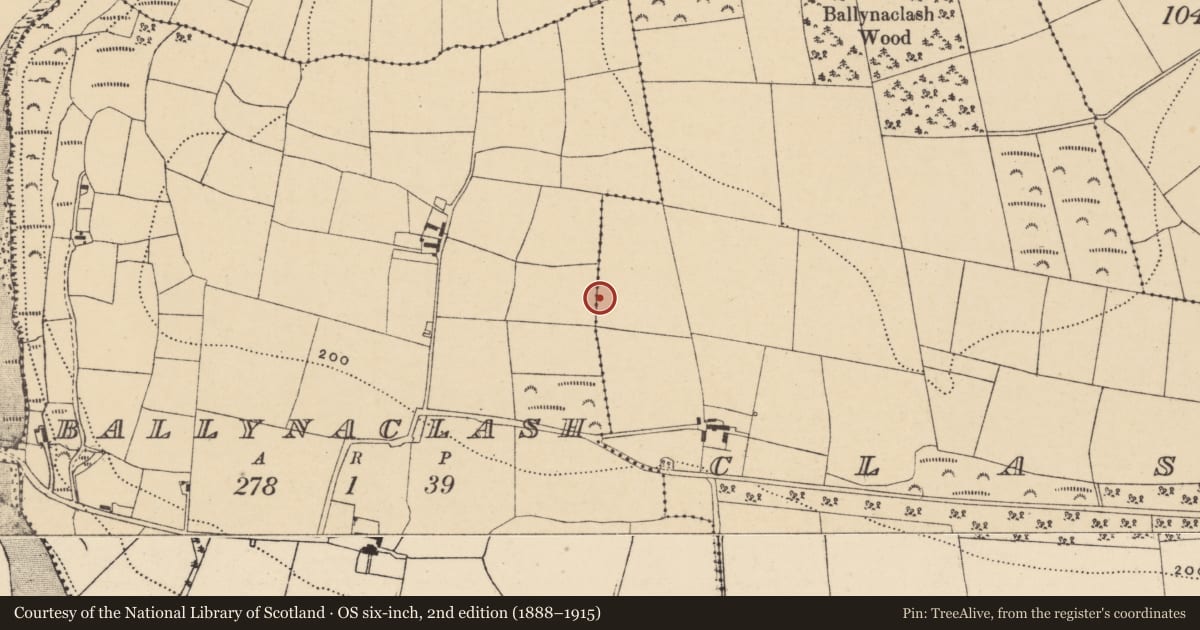 Ordnance Survey six-inch map, 2nd edition (1888–1915) covering the location of Enclosure, Ballynaclash, Clashmore, County Waterford, with a pin at the register's coordinates