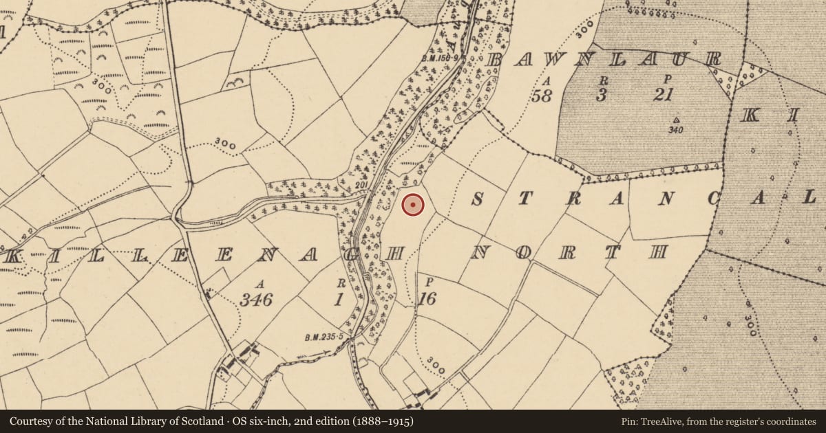 Ordnance Survey six-inch map, 2nd edition (1888–1915) covering the location of Bullaun stone, Killeenagh North, County Waterford, with a pin at the register's coordinates