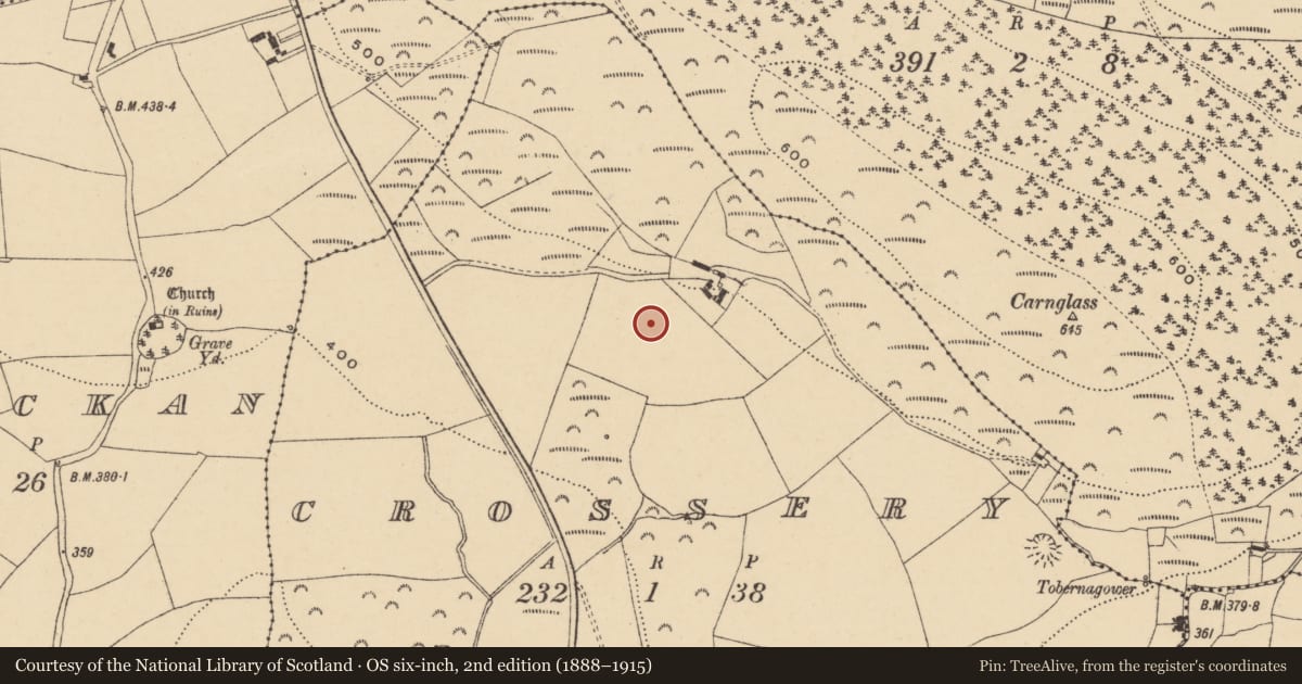 Ordnance Survey six-inch map, 2nd edition (1888–1915) covering the location of Standing stone, Crossery, County Waterford, with a pin at the register's coordinates