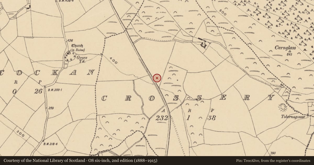 Ordnance Survey six-inch map, 2nd edition (1888–1915) covering the location of Enclosure, Crossery, County Waterford, with a pin at the register's coordinates