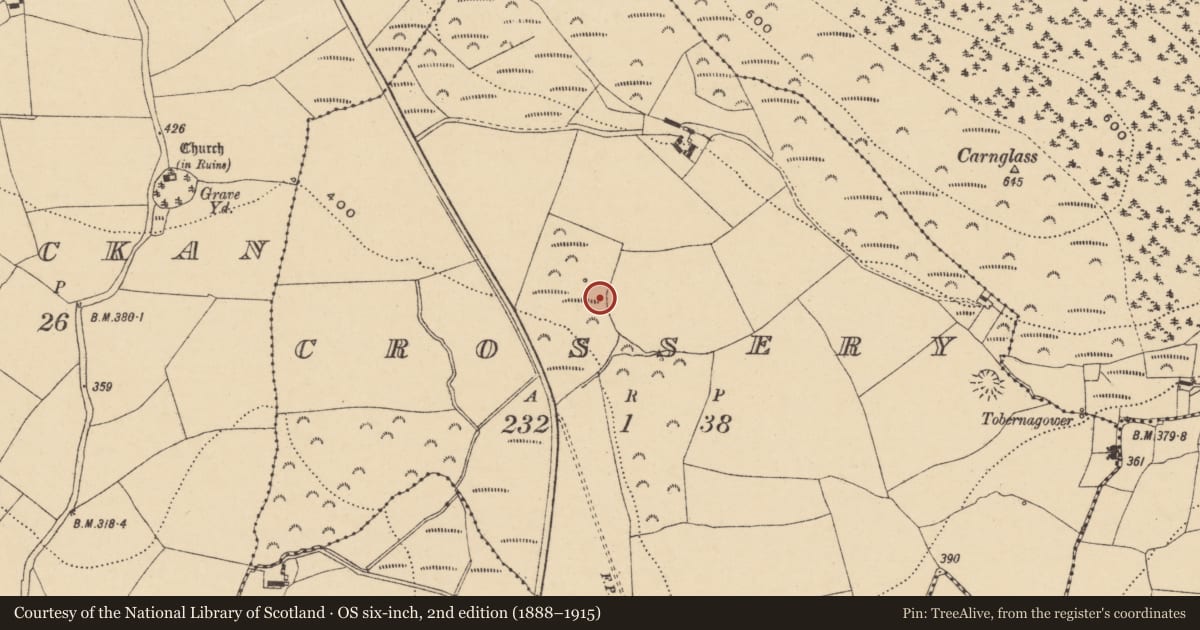 Ordnance Survey six-inch map, 2nd edition (1888–1915) covering the location of Burnt mound, Crossery, County Waterford, with a pin at the register's coordinates