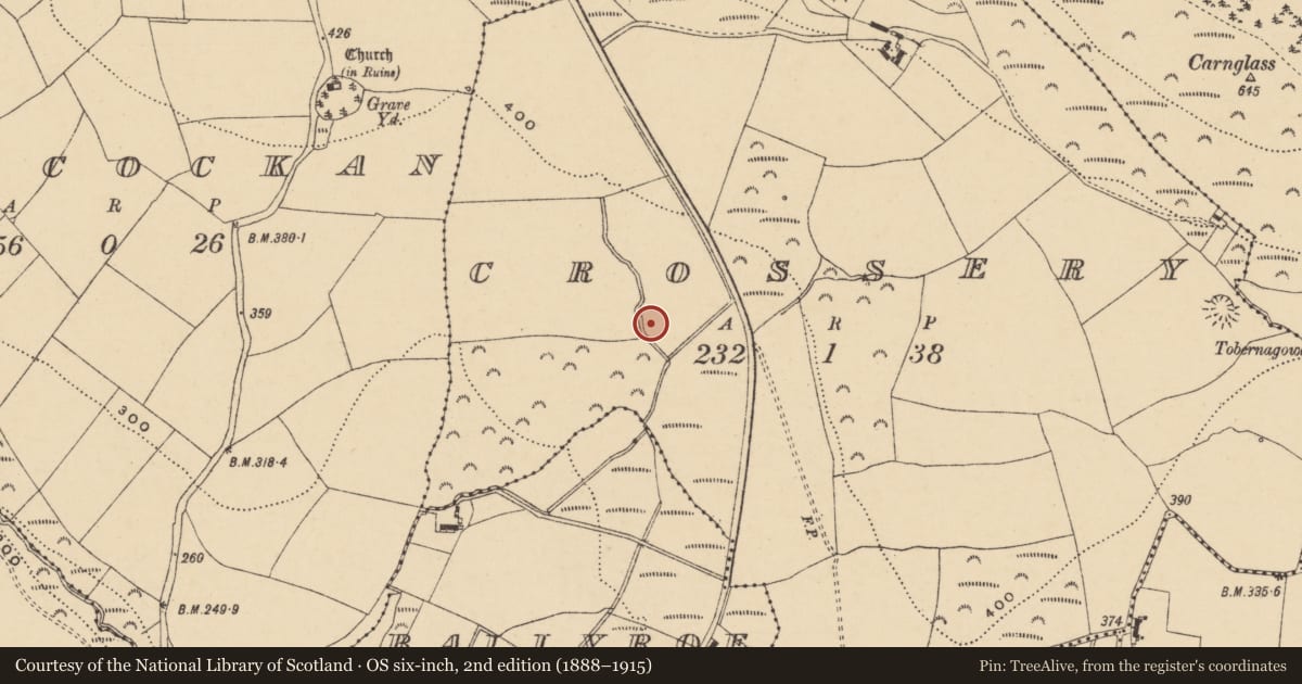 Ordnance Survey six-inch map, 2nd edition (1888–1915) covering the location of Fulacht fia, Crossery, County Waterford, with a pin at the register's coordinates
