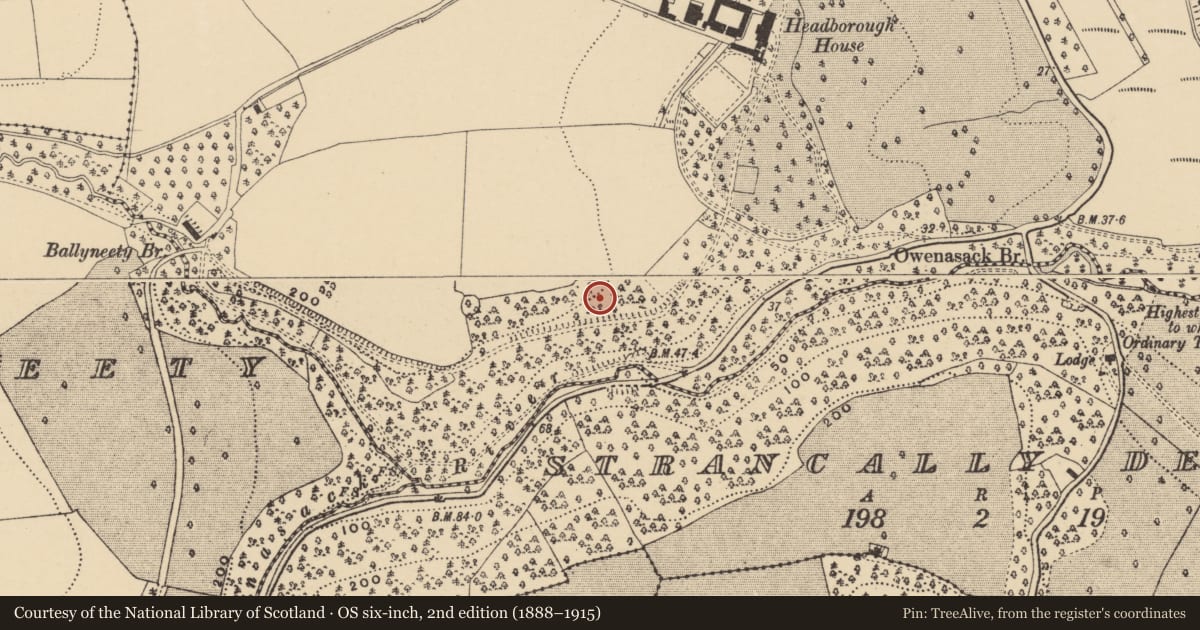 Ordnance Survey six-inch map, 2nd edition (1888–1915) covering the location of Souterrain, Headborough, County Waterford, with a pin at the register's coordinates