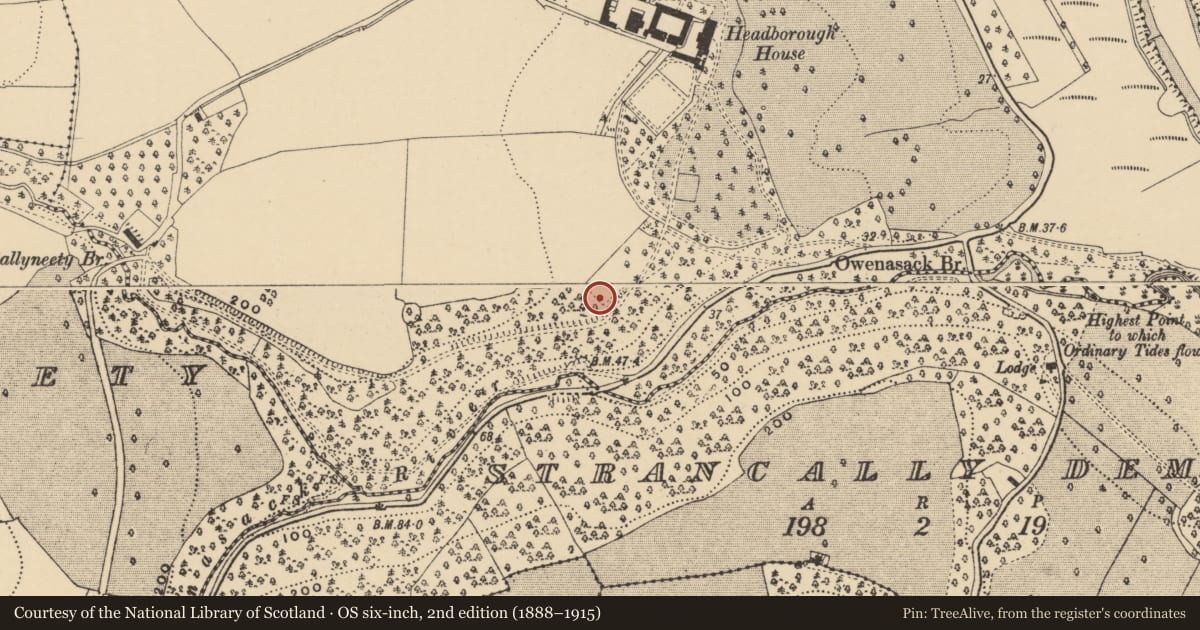 Ordnance Survey six-inch map, 2nd edition (1888–1915) covering the location of Ringfort - rath, Headborough, County Waterford, with a pin at the register's coordinates