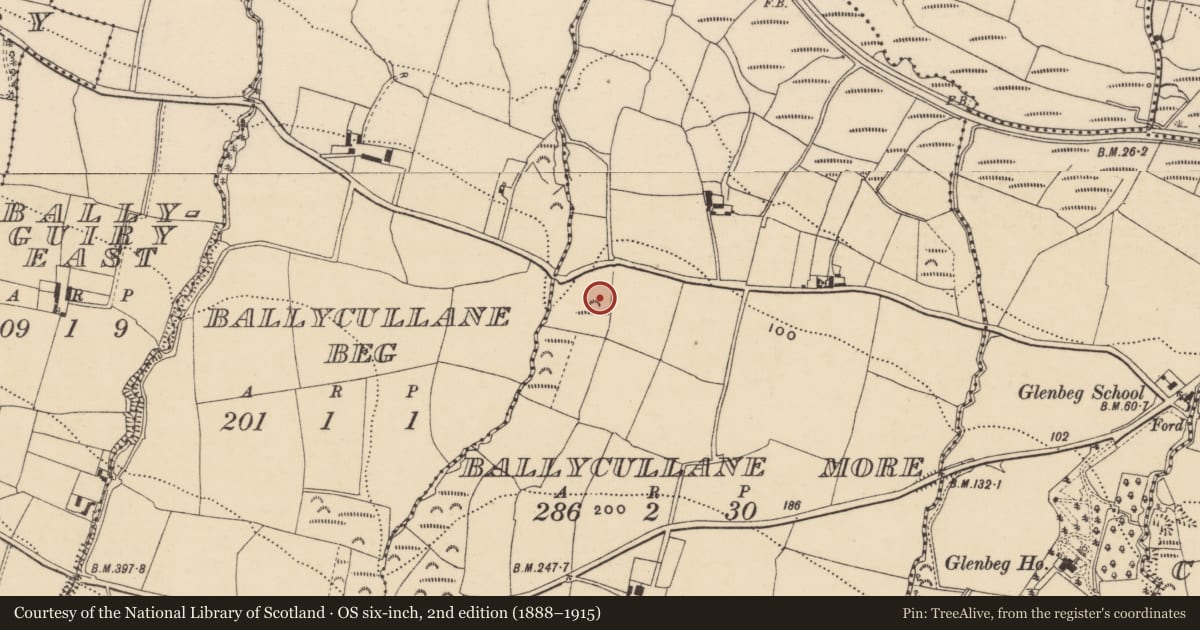 Ordnance Survey six-inch map, 2nd edition (1888–1915) covering the location of Enclosure, Ballycullane More, County Waterford, with a pin at the register's coordinates