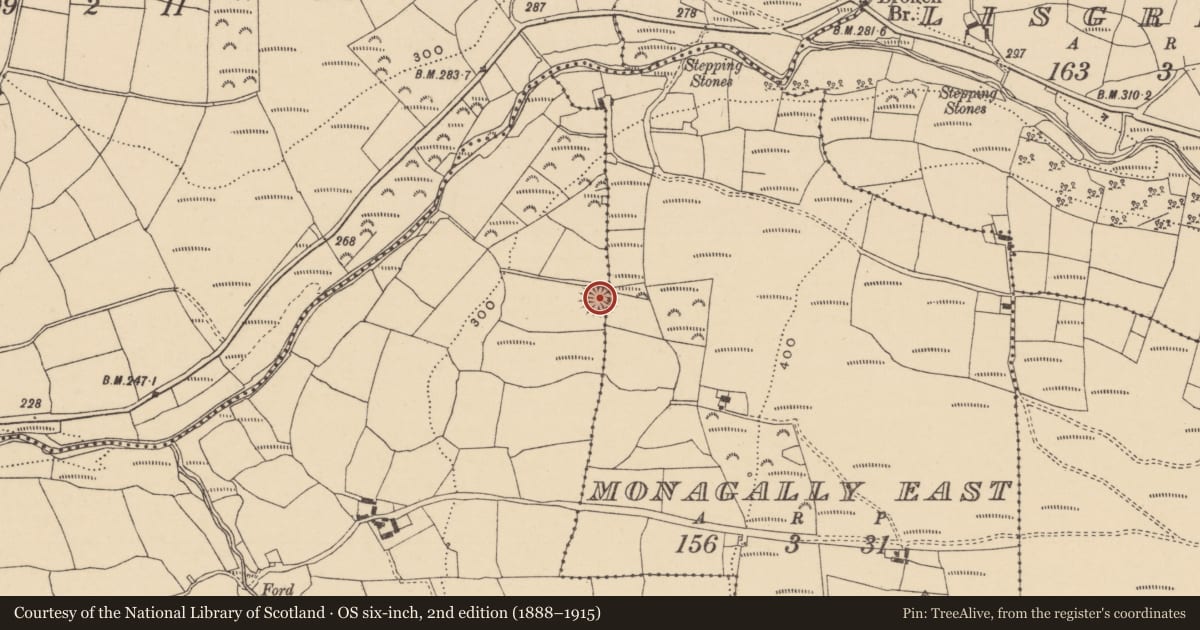 Ordnance Survey six-inch map, 2nd edition (1888–1915) covering the location of Ringfort - rath, Monagally West, County Waterford, with a pin at the register's coordinates