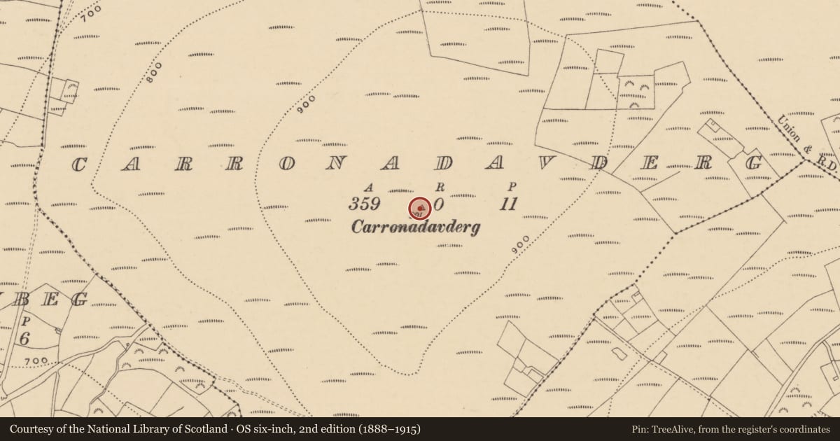 Ordnance Survey six-inch map, 2nd edition (1888–1915) covering the location of Cairn - unclassified, Carronadavderg, County Waterford, with a pin at the register's coordinates