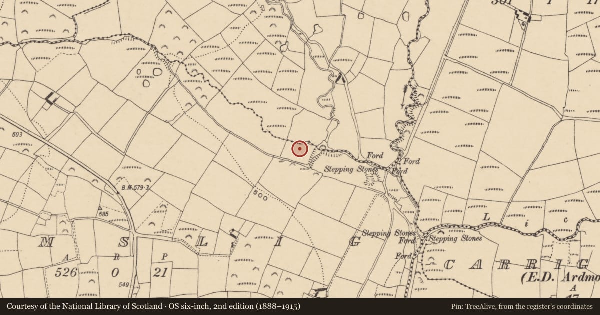 Ordnance Survey six-inch map, 2nd edition (1888–1915) covering the location of Mine, Drumslig, Lyre, County Waterford, with a pin at the register's coordinates