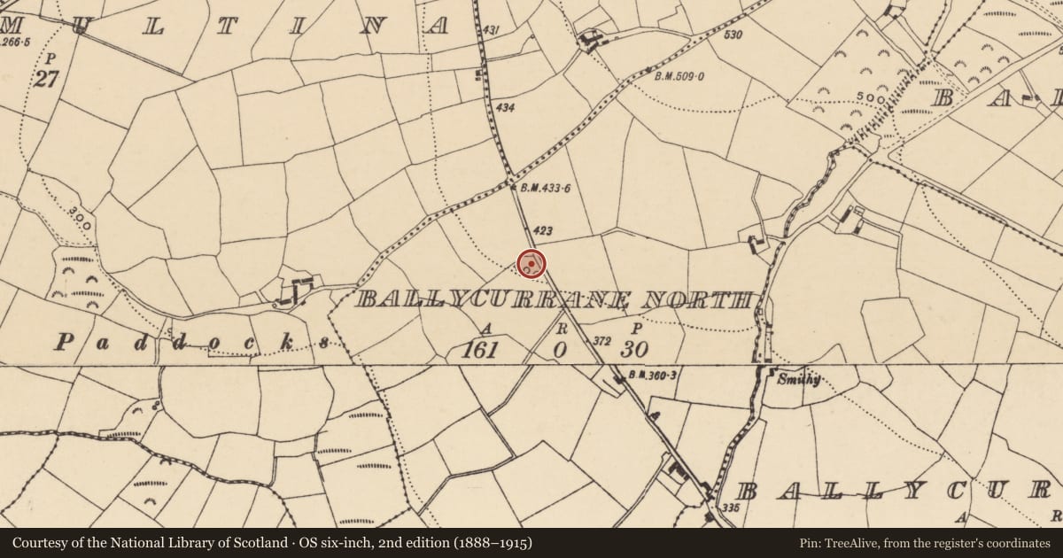 Ordnance Survey six-inch map, 2nd edition (1888–1915) covering the location of Ringfort - unclassified, Ballycurrane North, County Waterford, with a pin at the register's coordinates