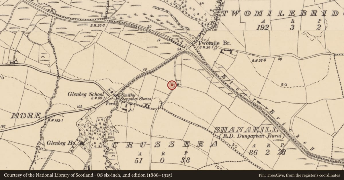 Ordnance Survey six-inch map, 2nd edition (1888–1915) covering the location of Cross-inscribed stone, An Tseanchill (Par. Rinn Ó gCuanach), County Waterford, with a pin at the register's coordinates