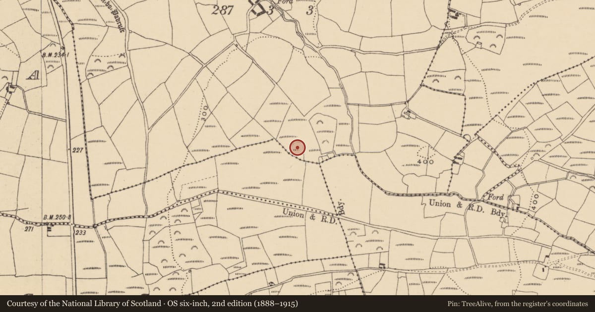 Ordnance Survey six-inch map, 2nd edition (1888–1915) covering the location of Ringfort - rath, Monagally West, County Waterford, with a pin at the register's coordinates