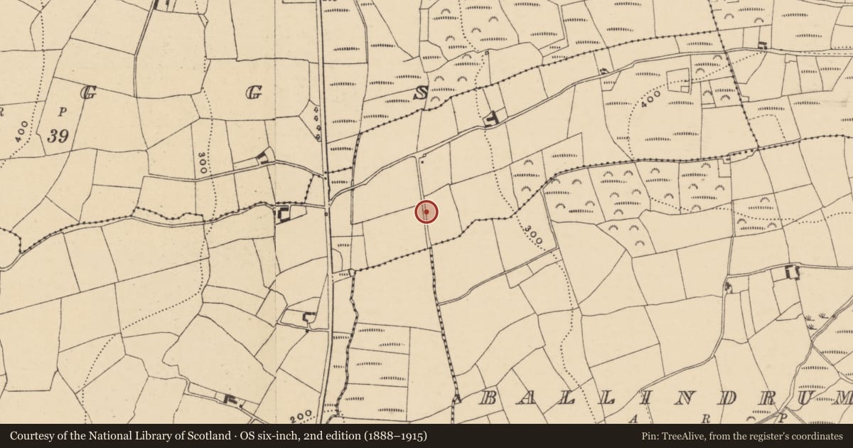 Ordnance Survey six-inch map, 2nd edition (1888–1915) covering the location of Road - road/trackway, County Waterford, with a pin at the register's coordinates