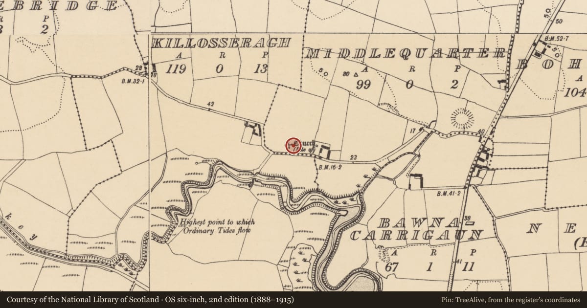 Ordnance Survey six-inch map, 2nd edition (1888–1915) covering the location of Church, Middlequarter, County Waterford, with a pin at the register's coordinates