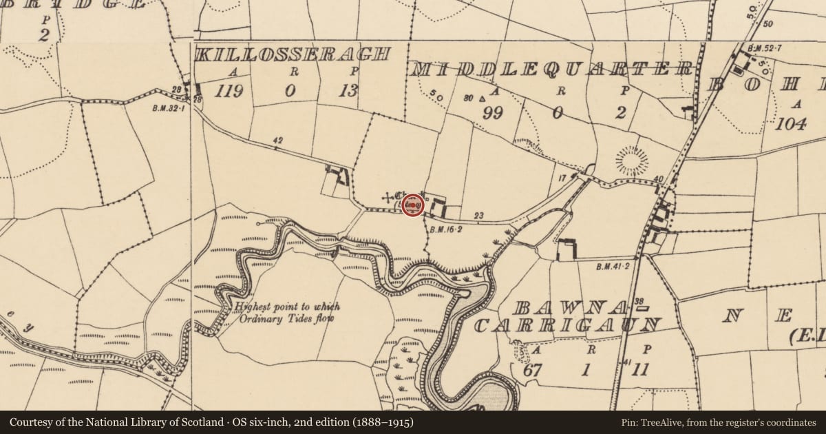 Ordnance Survey six-inch map, 2nd edition (1888–1915) covering the location of Graveyard, Middlequarter, County Waterford, with a pin at the register's coordinates