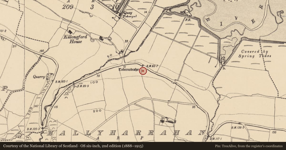 Ordnance Survey six-inch map, 2nd edition (1888–1915) covering the location of Ritual site - holy well, Ballyharrahan, County Waterford, with a pin at the register's coordinates