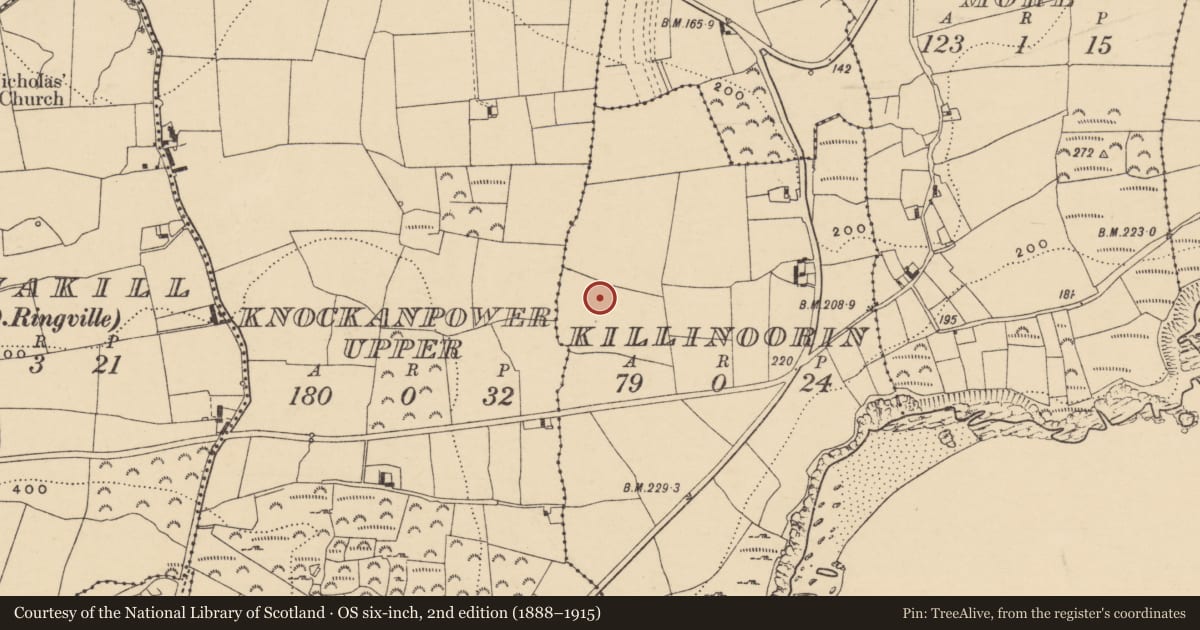 Ordnance Survey six-inch map, 2nd edition (1888–1915) covering the location of Enclosure, Cill An Fhuarthainn, County Waterford, with a pin at the register's coordinates