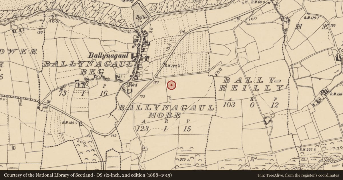 Ordnance Survey six-inch map, 2nd edition (1888–1915) covering the location of Ringfort - unclassified, Baile Na Ngall Mór, County Waterford, with a pin at the register's coordinates