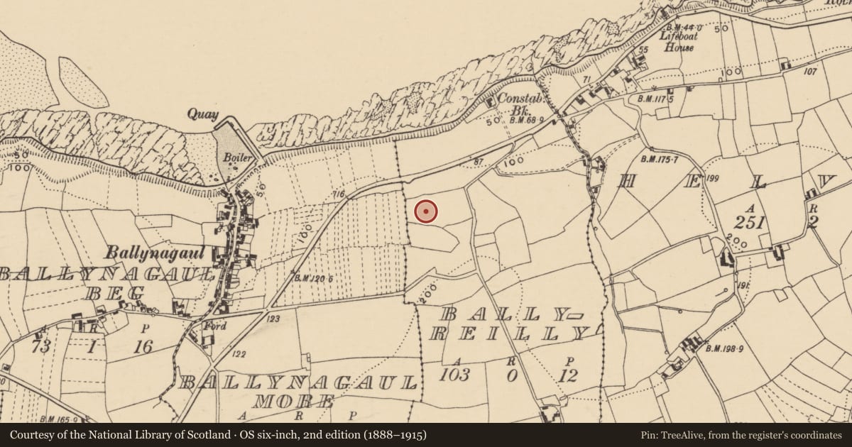 Ordnance Survey six-inch map, 2nd edition (1888–1915) covering the location of Ringfort - unclassified, Baile Uí Raghallaigh, County Waterford, with a pin at the register's coordinates