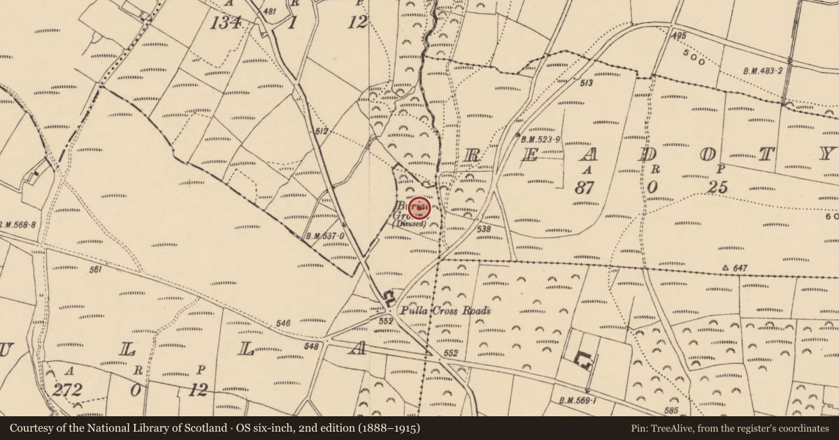 Ordnance Survey six-inch map, 2nd edition (1888–1915) covering the location of Burial ground, Pulla, County Waterford, with a pin at the register's coordinates
