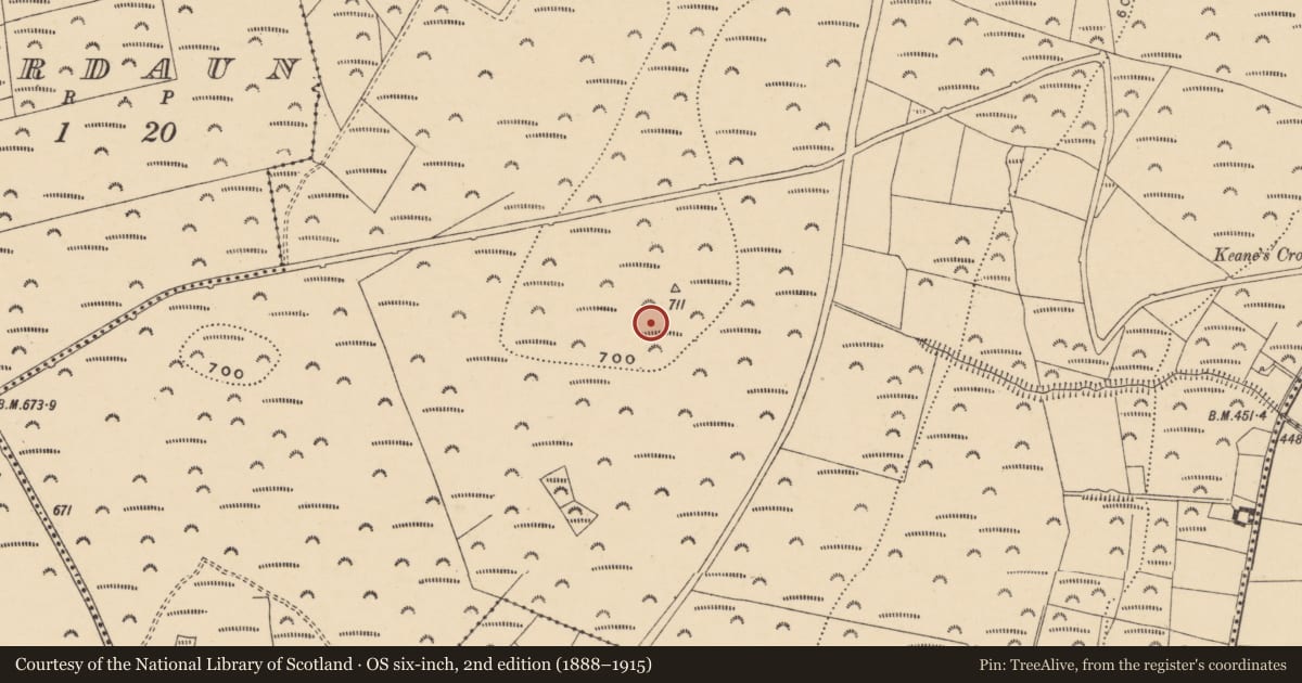 Ordnance Survey six-inch map, 2nd edition (1888–1915) covering the location of Standing stone, Log Na Giúisí, County Waterford, with a pin at the register's coordinates