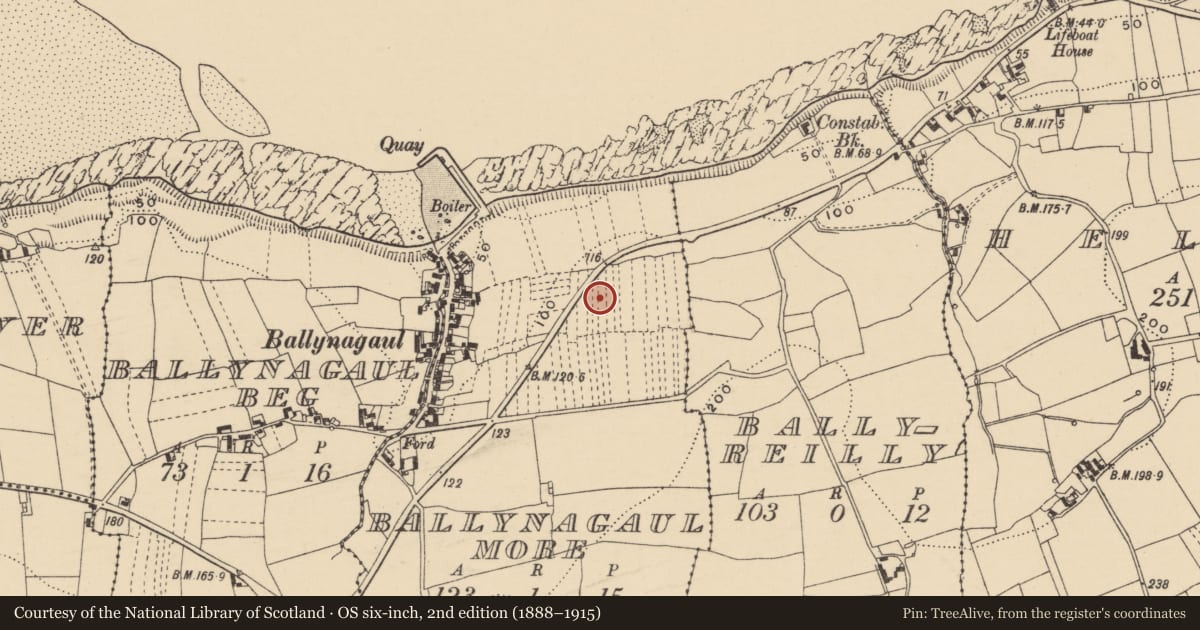 Ordnance Survey six-inch map, 2nd edition (1888–1915) covering the location of Souterrain, Baile Na Ngall Mór, County Waterford, with a pin at the register's coordinates