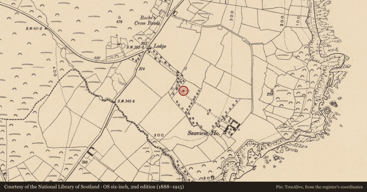 Ordnance Survey six-inch map, 2nd edition (1888–1915) covering the location of Standing stone, Ráth Na Mbiníneach (Par. Rinn Ó gCuanach), County Waterford, with a pin at the register's coordinates