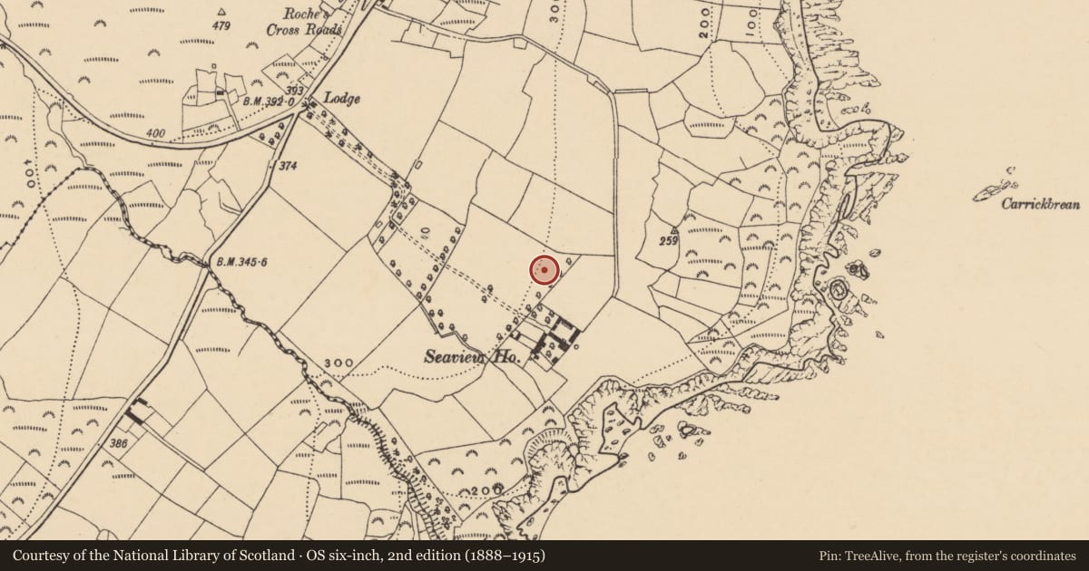 Ordnance Survey six-inch map, 2nd edition (1888–1915) covering the location of Standing stone, Ráth Na Mbiníneach (Par. Rinn Ó gCuanach), County Waterford, with a pin at the register's coordinates