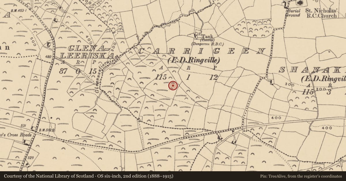 Ordnance Survey six-inch map, 2nd edition (1888–1915) covering the location of Ringfort - rath, An Carraigín (Par. Rinn Ó gCuanach), County Waterford, with a pin at the register's coordinates