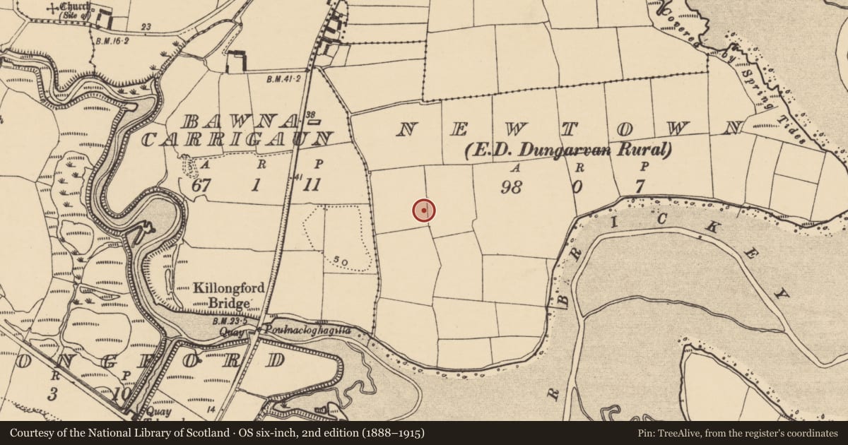 Ordnance Survey six-inch map, 2nd edition (1888–1915) covering the location of Standing stone, Newtown (Decies without Drum By., Dungarvan Par.), County Waterford, with a pin at the register's coordinates