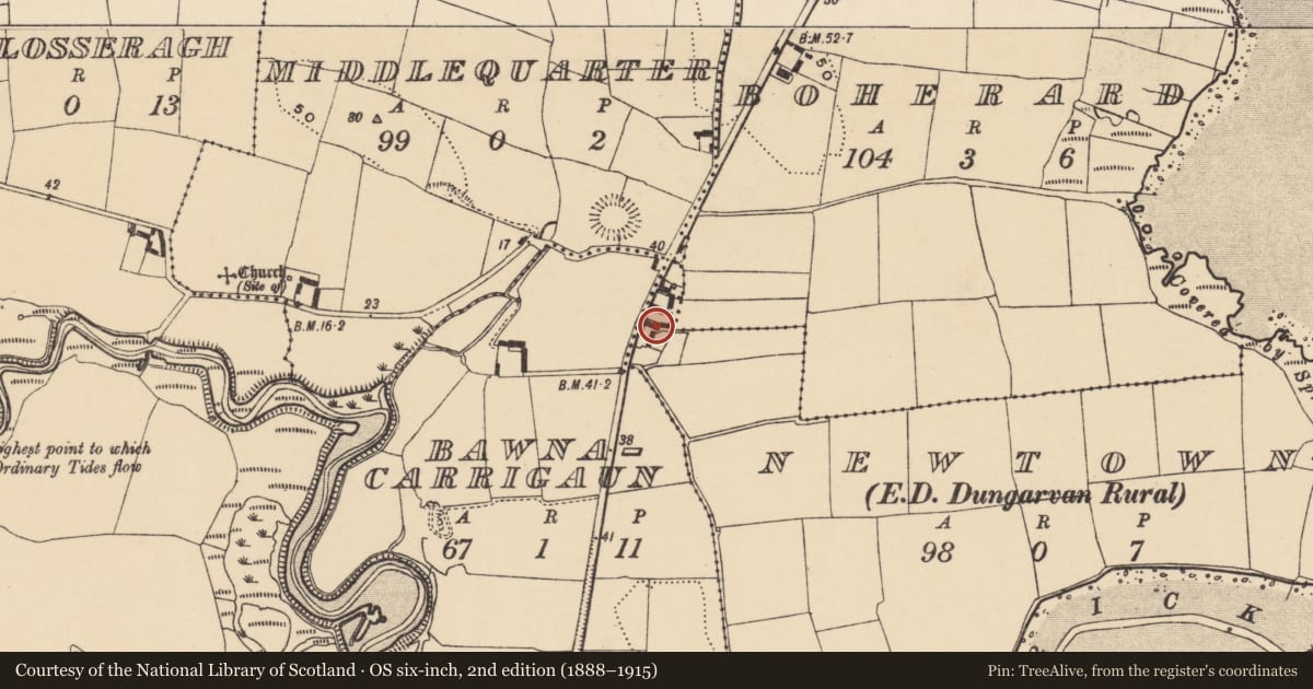 Ordnance Survey six-inch map, 2nd edition (1888–1915) covering the location of Standing stone (present location), Newtown (Decies without Drum By., Dungarvan Par.), County Waterford, with a pin at the register's coordinates