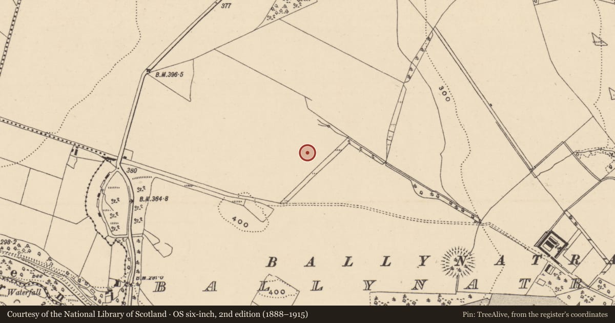 Ordnance Survey six-inch map, 2nd edition (1888–1915) covering the location of Burnt mound, Ballynatray Demesne, County Waterford, with a pin at the register's coordinates