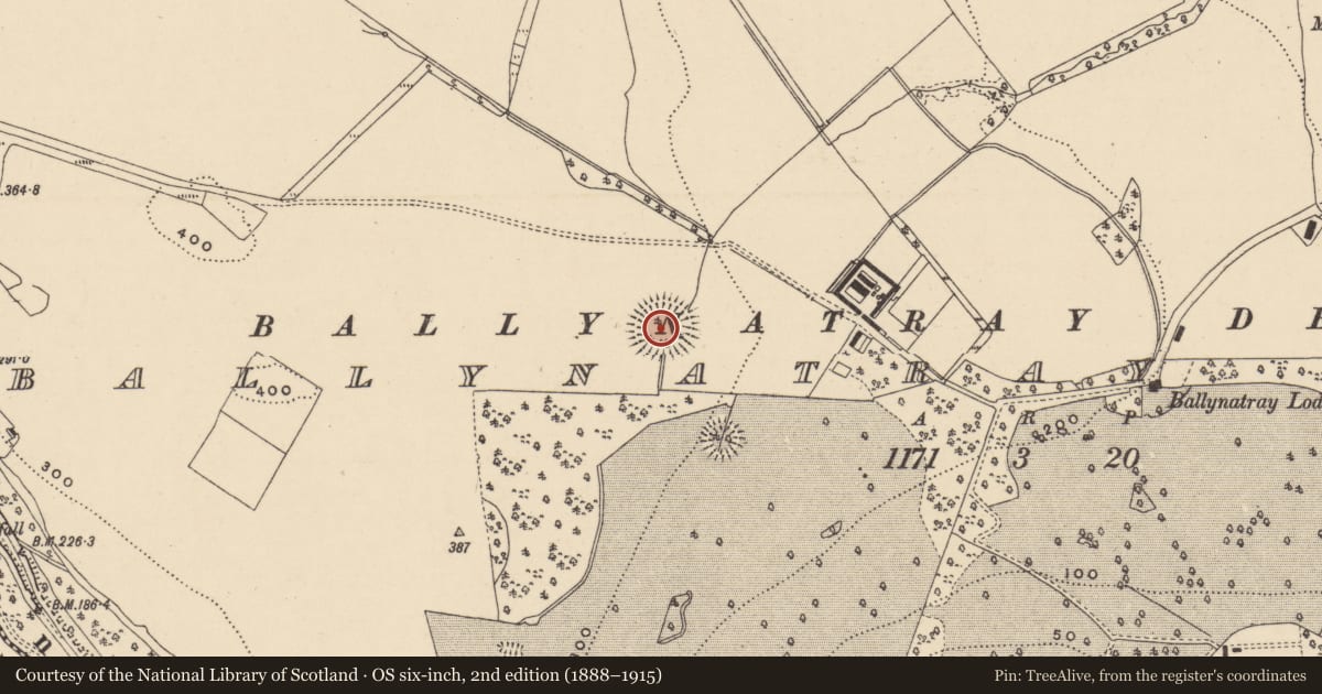 Ordnance Survey six-inch map, 2nd edition (1888–1915) covering the location of Ringfort - rath, Ballynatray Demesne, County Waterford, with a pin at the register's coordinates