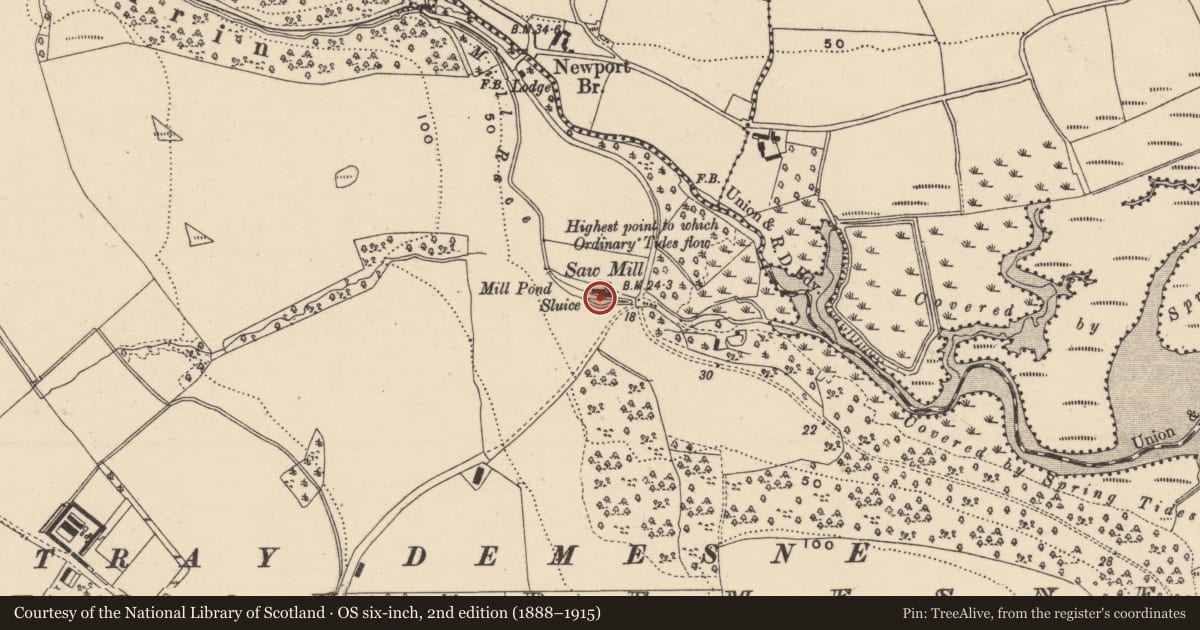 Ordnance Survey six-inch map, 2nd edition (1888–1915) covering the location of Mill - unclassified, Ballynatray Demesne, County Waterford, with a pin at the register's coordinates