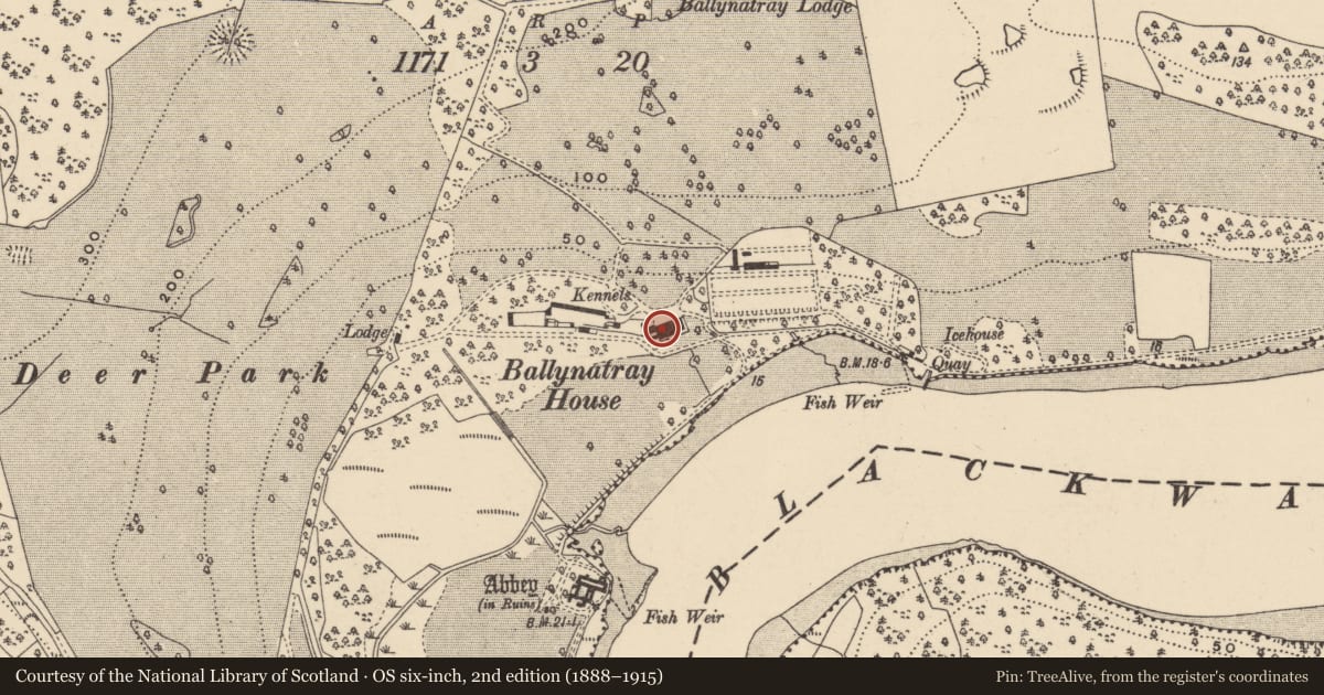 Ordnance Survey six-inch map, 2nd edition (1888–1915) covering the location of House - 17th century, Ballynatray Demesne, County Waterford, with a pin at the register's coordinates