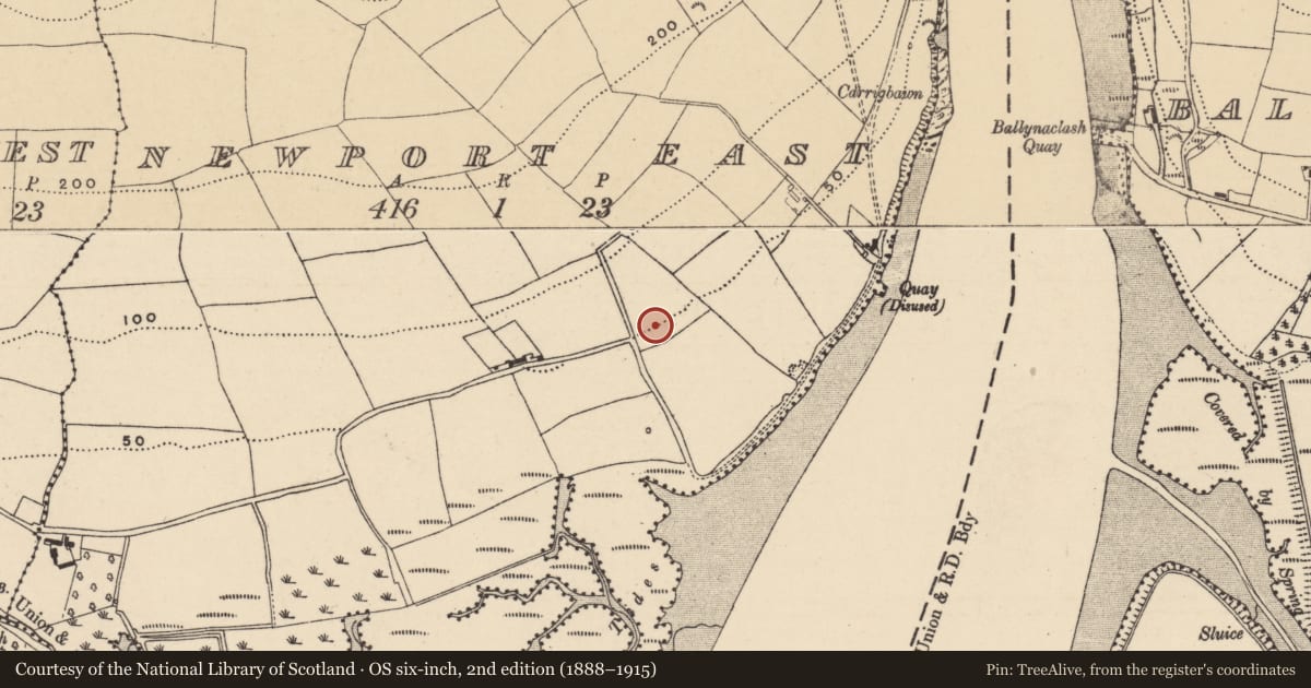 Ordnance Survey six-inch map, 2nd edition (1888–1915) covering the location of Prehistoric site - lithic scatter, Newport East, County Waterford, with a pin at the register's coordinates