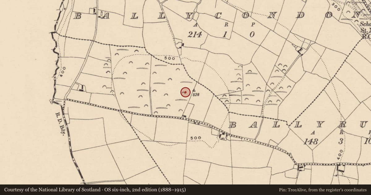 Ordnance Survey six-inch map, 2nd edition (1888–1915) covering the location of Earthwork, Ballyrussel, County Waterford, with a pin at the register's coordinates